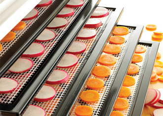 Excalibur Dörrautomat Früchte & Gemüse