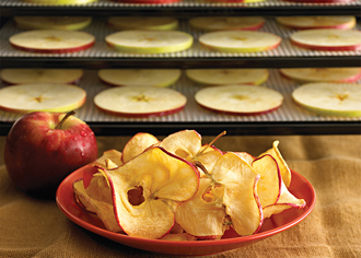 Excalibur Dörrautomat Apfel