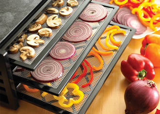 Excalibur Dörrautomat Früchte & Gemüse